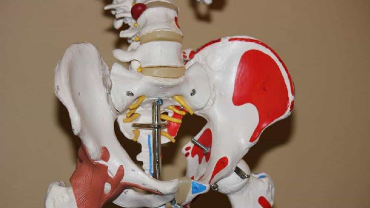 Recomendaciones para cuidar tu cadera y evitar fracturas