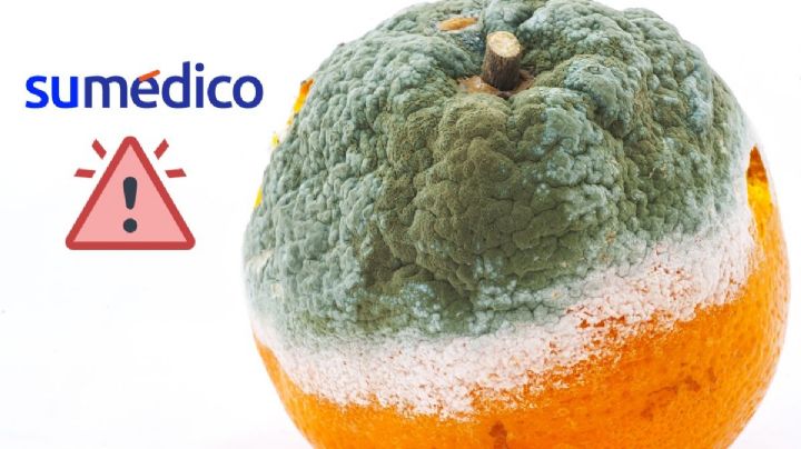 ¿Qué hacer si una fruta tiene moho?