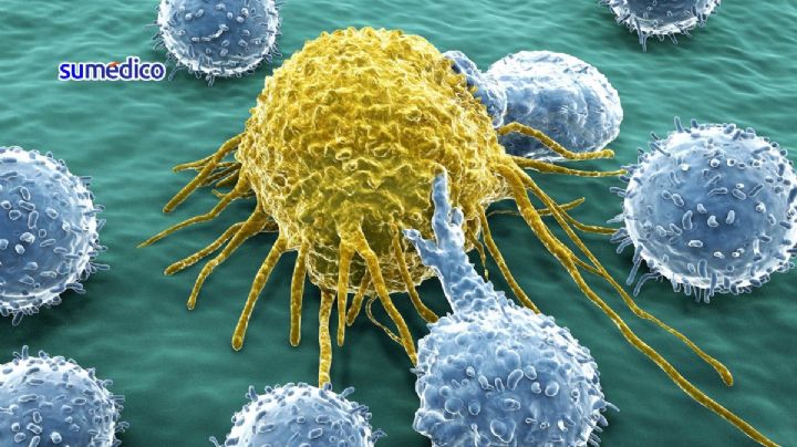 Estudio revela los puntos débiles de la proteína que provoca 1 de cada 10 cánceres