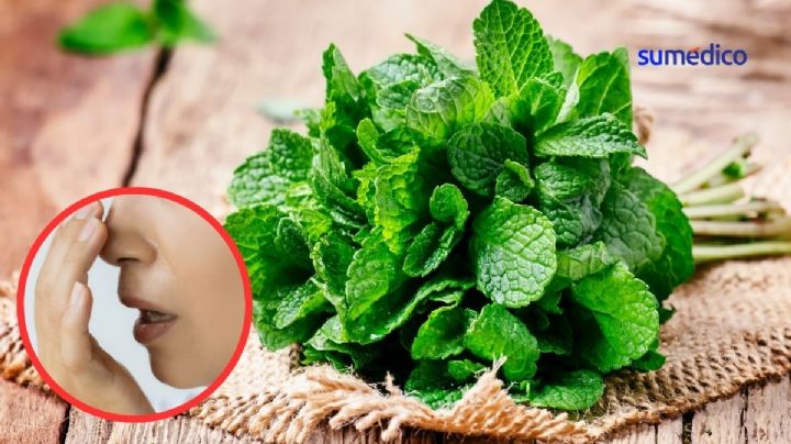 La infusión perfecta para eliminar el mal aliento por las mañanas