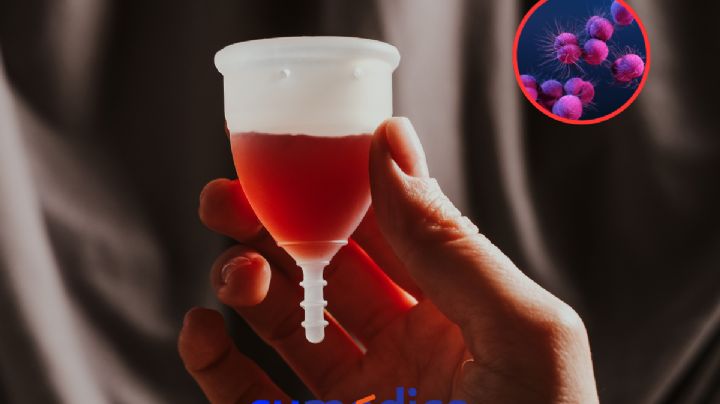 Desarrollan copa menstrual que detecta ITS ¿Cómo funciona?