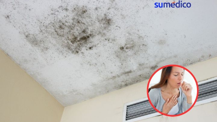 ¿Se puede eliminar la humedad de tu habitación con sal? Así se logra