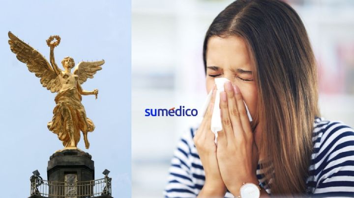 Alergias en CDMX podrían relacionarse con su estructura
