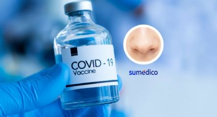 Vacuna nasal contra covid-19 pasa las primeras pruebas