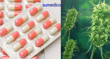 Conoce la proteína que podría combatir la resistencia a los antibióticos