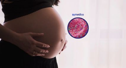 Microbioma de la madre no influye en el bebé como se creía: estudio