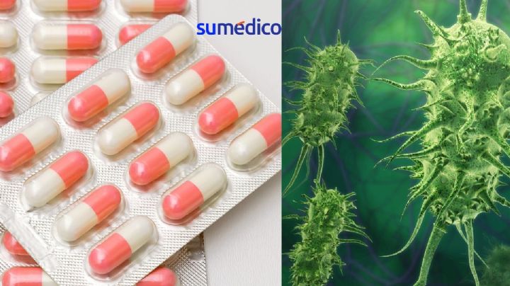 Conoce la proteína que podría combatir la resistencia a los antibióticos