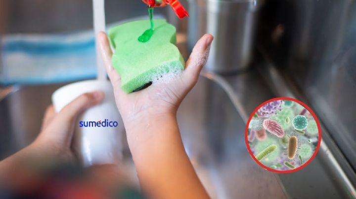 Truco para desinfectar la esponja de trastes y evitar bacterias