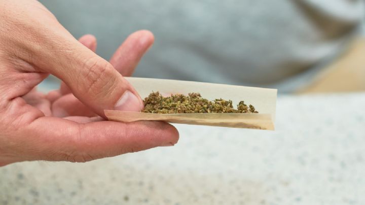 Encuentran nuevo riesgo por consumo de marihuana, ¿cuáles son?