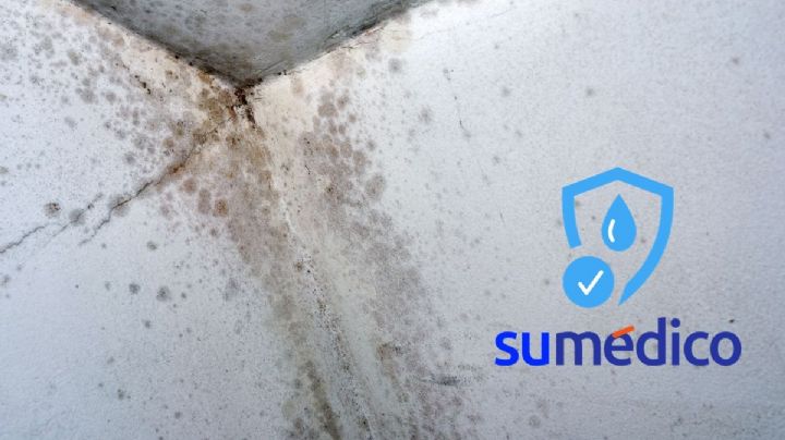Realiza tu impermeabilizante casero para reducir la humedad en tu hogar