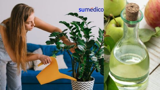 5 trucos para revivir tus plantas usando solo vinagre