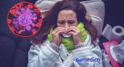 ¿Por qué los virus son tan “duros de matar”? 