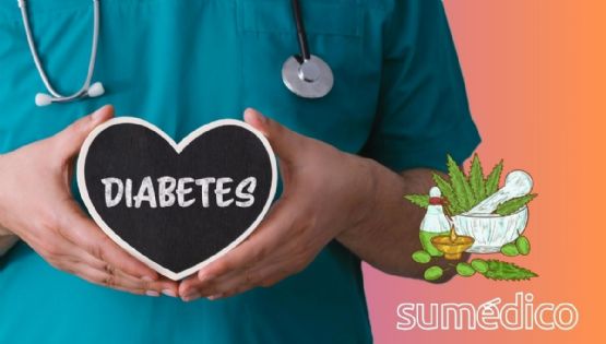 La planta medicinal que reduce el riesgo de diabetes y tiene otros beneficios