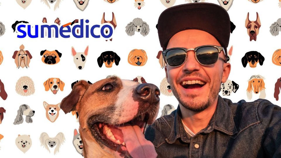 Vivir con un perro nos hace sentir más felices y más plenos.