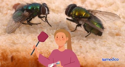 ¿Qué enfermedades causa aplastar una mosca?