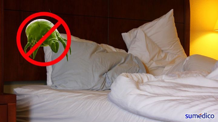 ¿Tiendes tu cama al despertar? Podrías desarrollar estos problemas de salud