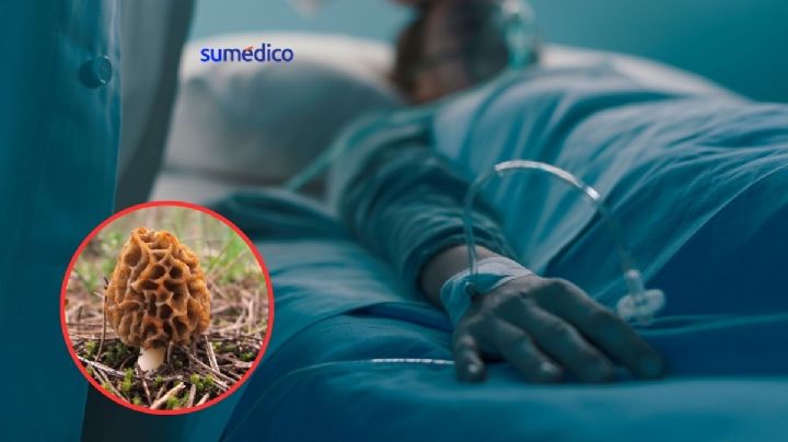 Mujer sufre falla renal y hepática tras comer hongos crudos en sushi