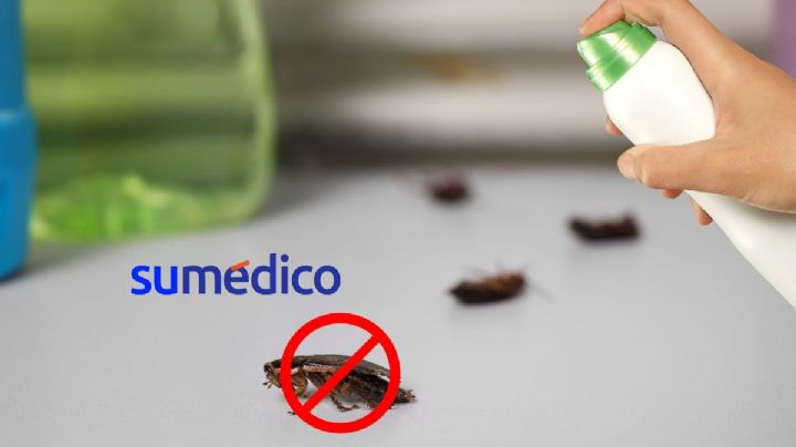 ¿Quieres eliminar las cucarachas de tu hogar? Prepara este repelente con vinagre