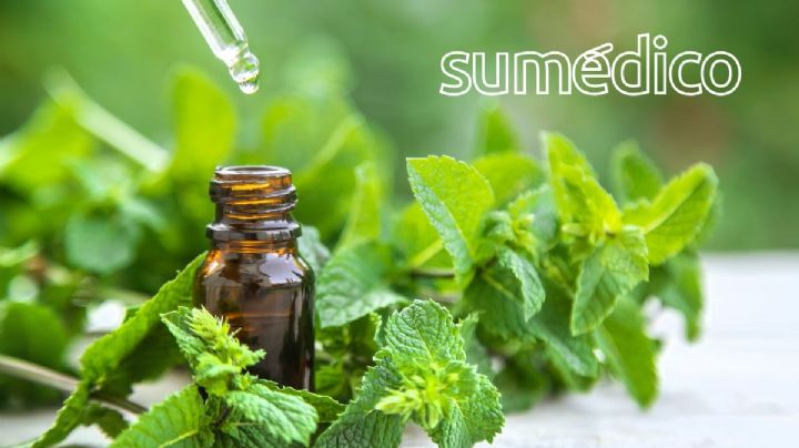 ¿Qué es la menta piperita y para qué sirve?