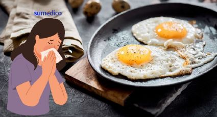 ¿Debemos dejar de comer pollo o huevo por la gripe aviar?
