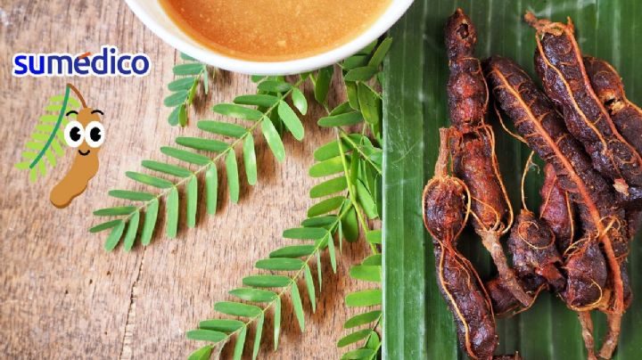 Tamarindo, una eficaz leguminosa antienvejecimiento
