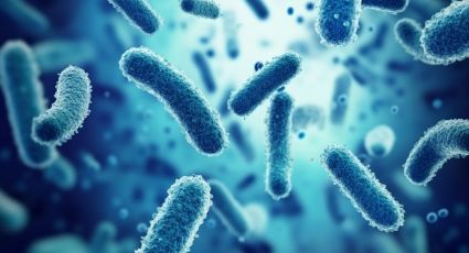¿Cómo pueden los probióticos mejorar tu salud intestinal?