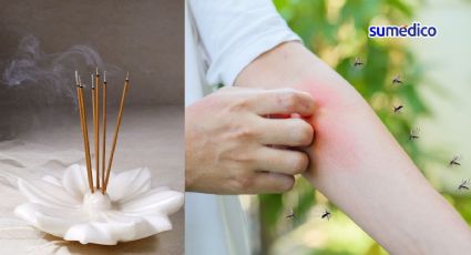 ¿Cómo usar correctamente el incienso contra mosquitos?