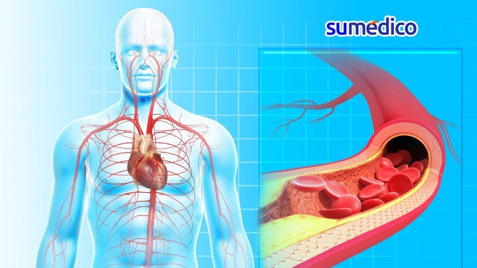 Descubre cómo mejorar la circulación sanguínea