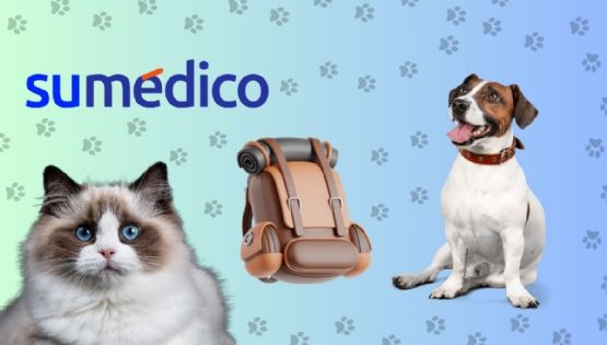 ¿Qué debe llevar una mochila de emergencia para ti y tu mascota?