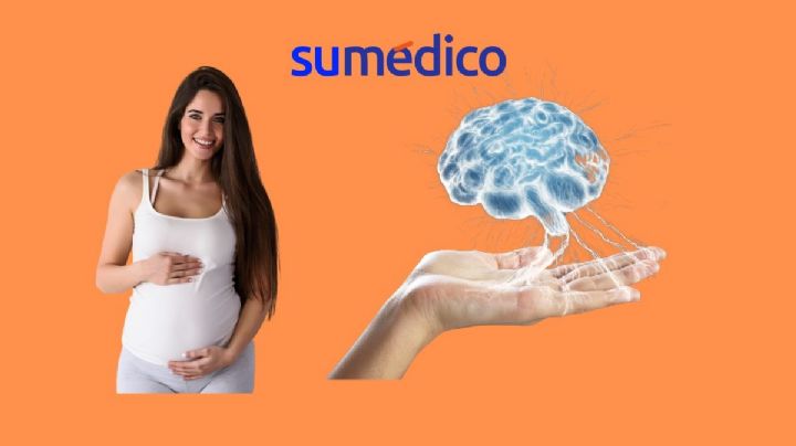 ¿Cómo cambia el cerebro de una mujer embarazada?