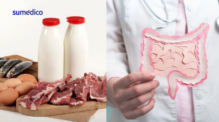 Alimentos con proteínas que evitan el cáncer intestinal