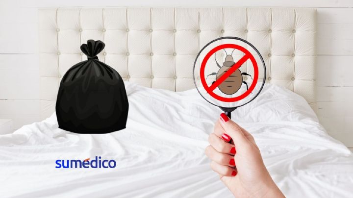 ¿Cómo terminar con las chinches de otoño fácil y rápido?