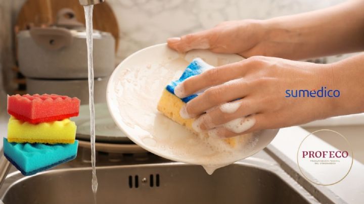 ¿Cuál es la mejor esponja para lavar los platos? Esto dice la Profeco