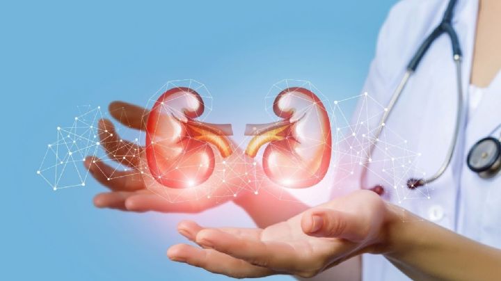 La enfermedad renal crónica no es una sentencia: terapias innovadoras cambian el pronóstico