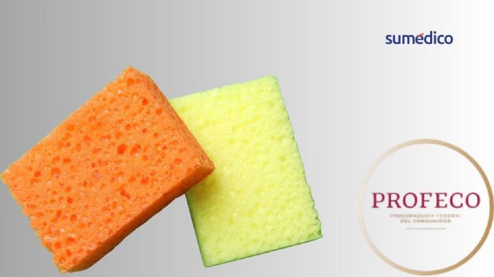 Las mejores esponjas para lavar trastes, según Profeco