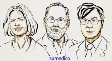 Mary Brunkow, Fred Ramsdell y Shimon Sakaguchi ganan el Premio Nobel de Medicina, ¿cuáles fueron sus aportaciones?
