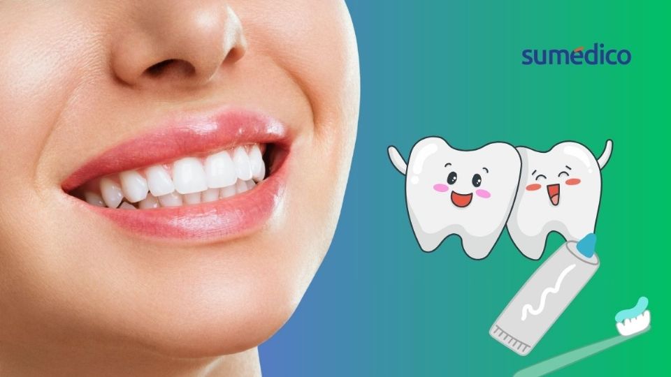 Los dientes son huesos importantes en la digestión
