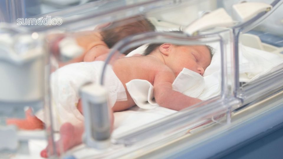 Los niños prematuros requieren alimentación específica