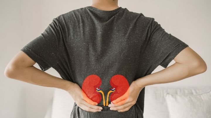 Estos padecimientos pueden causar enfermedad renal crónica