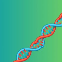 Científicos descubren genes relacionados con la obesidad
