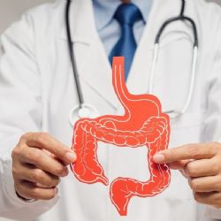 Microbiota intestinal influye en trastornos del sueño, señala estudio