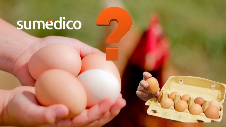 Conoce que huevos son mejores para la salud