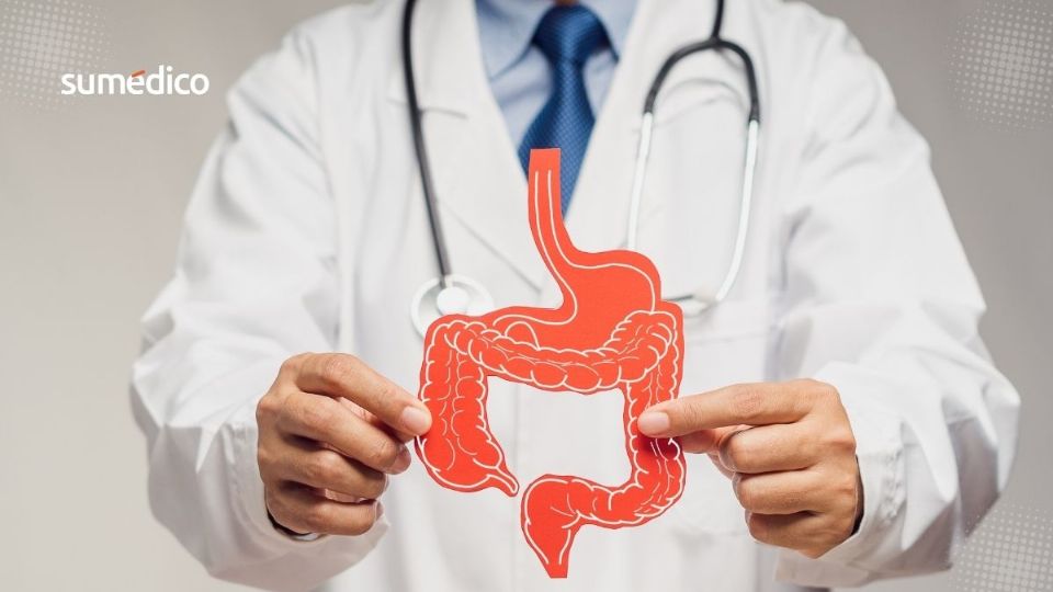 La microbiota tiene relación con la conciliación del sueño