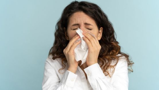 Influenza en México: estos 5 estados concentran el 65% de los casos