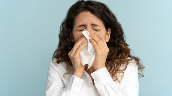 Influenza en México: estos 5 estados concentran el 65% de los casos