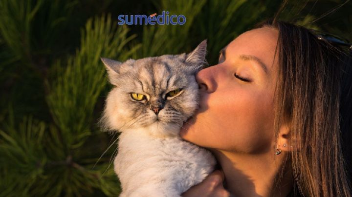 ¿Cuáles son los beneficios para tu salud de tener un gato como mascota?