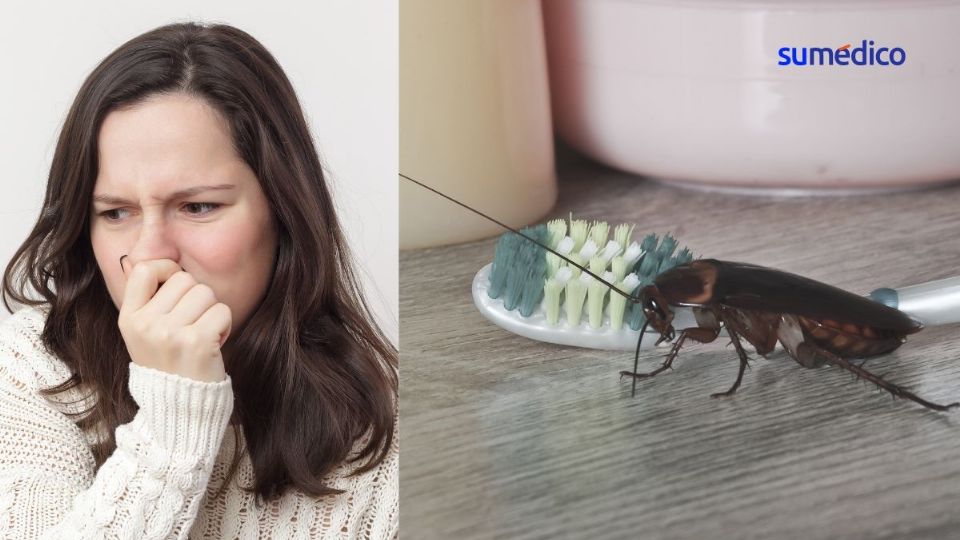 Sin darte cuenta, tu casa podría tener olor a cucaracha.