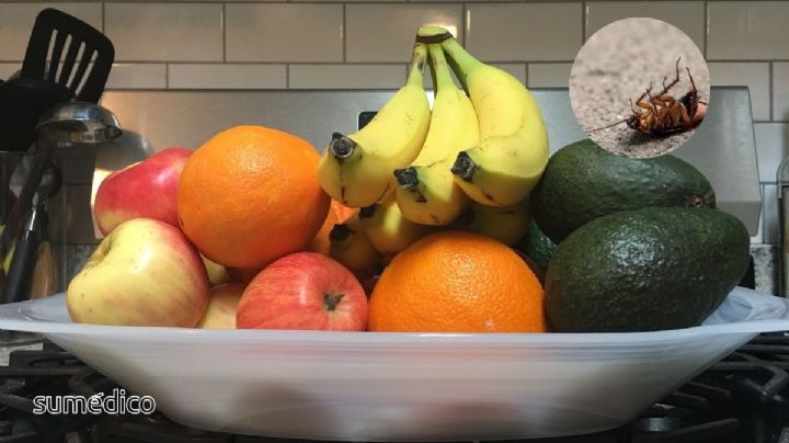 La fruta que mantiene alejadas a las cucarachas de tu casa