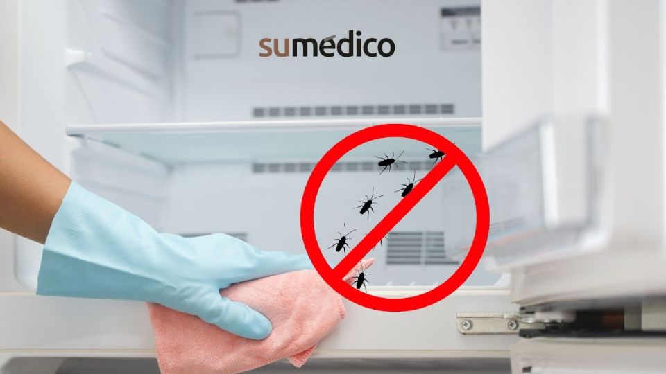 Descubre la forma efectiva de eliminar los huevecillos de cucaracha de tu refrigerador