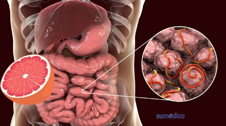 La fruta de temporada que debes consumir para eliminar los parásitos intestinales